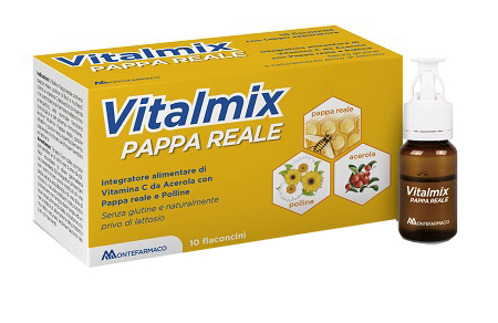 VITALMIX PAPPA REALE 10FLACONCINI X10 ML S/GL - FARMACIA33