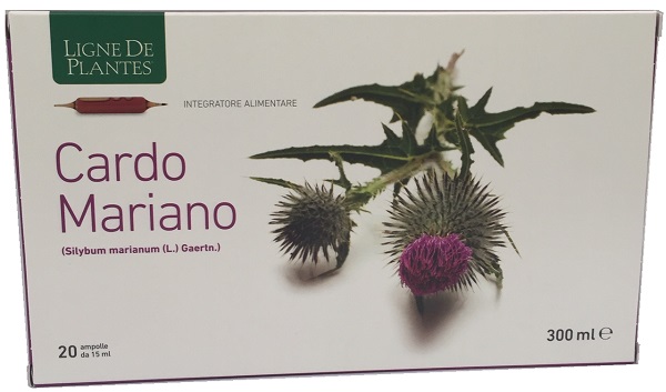CARDO MARIANO BIOLOGICO 20 AMPOLLE BEVIBILI DA 15 ML - FARMACIA33