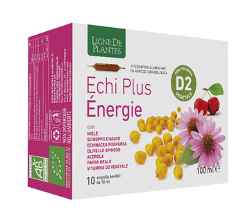 ECHI PLUS ENERGIE 10 AMPOLLE DA 10 ML - FARMACIA33