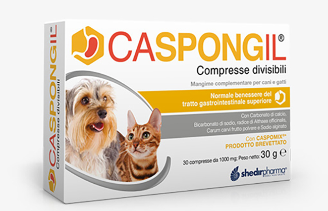 CASPONGIL 30 COMPRESSE DIVISIBILI - FARMACIA33