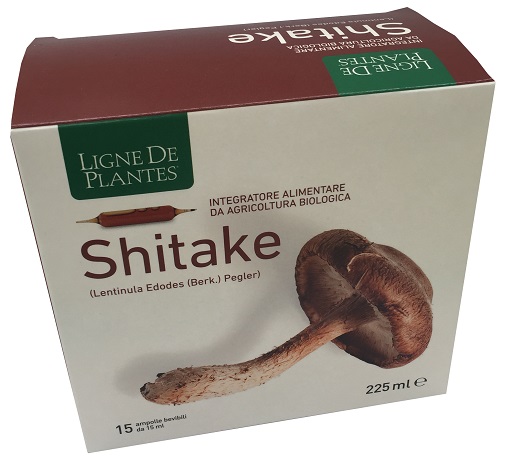 LIGNE DE PLANTES SHITAKE BIO 15 AMPOLLE DA 15 ML - FARMACIA33