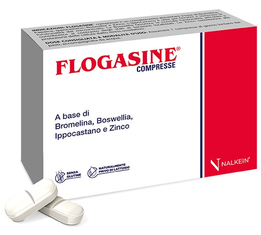 FLOGASINE 20 COMPRESSE - FARMACIA33