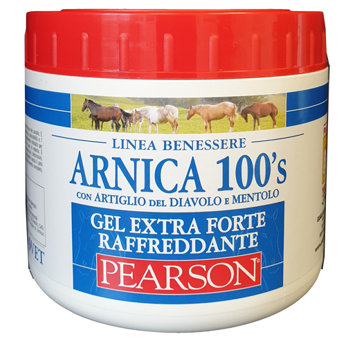 ARNICA 100'S EXTRA FORTE 500 ML - FARMACIA33