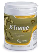 X-TREME FLAME POLVERE BARATTOLO 450 G - FARMACIA33