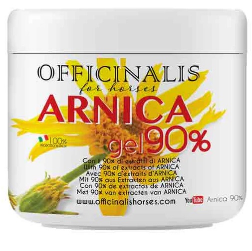 ARNICA GEL 90% 500 ML - FARMACIA33