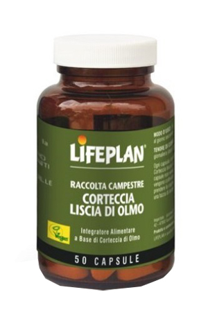 CORTECCIA LISCIA DI OLMO 50 CAPSULE - FARMACIA33