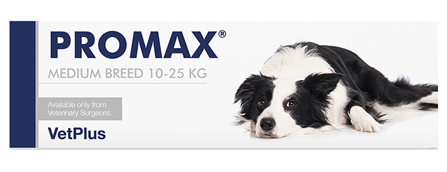 PROMAX MEDIUM BREED 18 ML - FARMACIA33