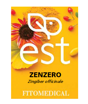 ZENZERO ESTRATTO SECCO 60 TAVOLETTE - FARMACIA33