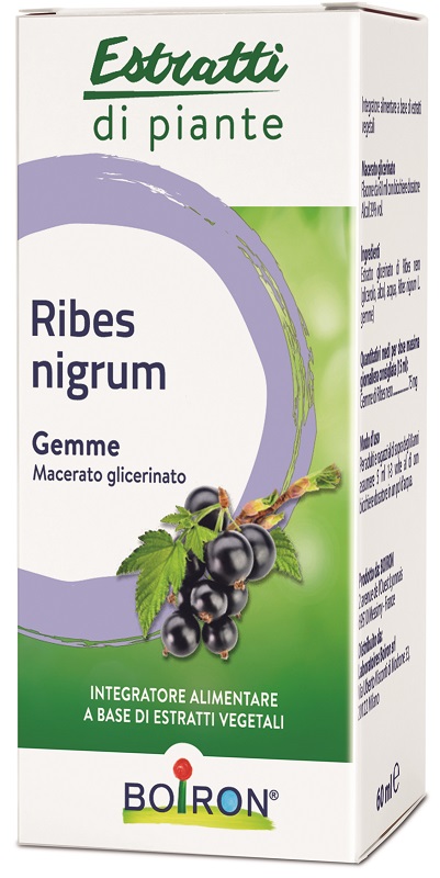 RIBES NIGRUM MACERATO GLICERICO 60 ML INT - FARMACIA33