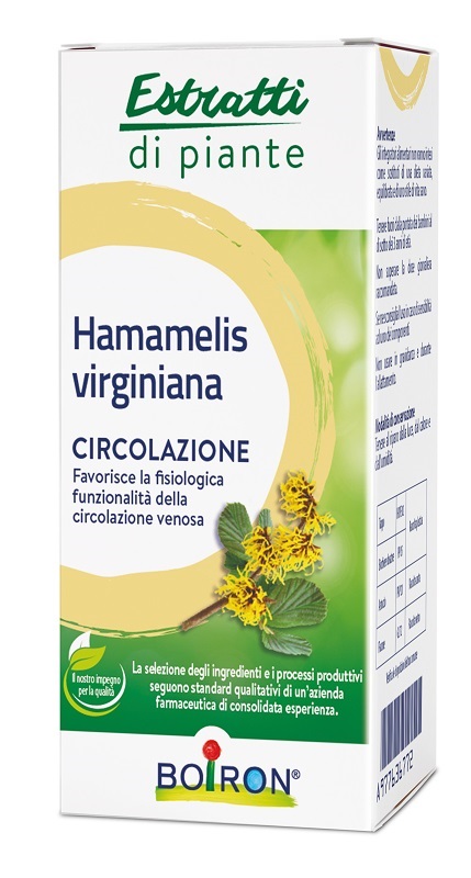 HAMAMELIS VIRGINIANA ESTRATTO IDROALCOLICO 60 ML - FARMACIA33