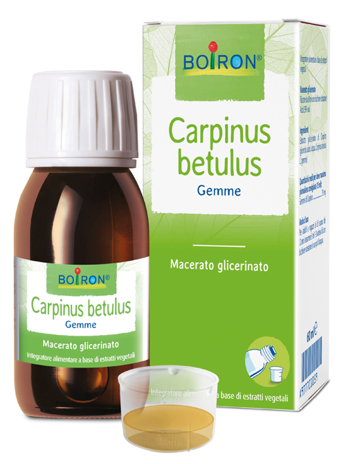 CARPINUS BETULUS MACERATO GLICERICO 60 ML INT - FARMACIA33