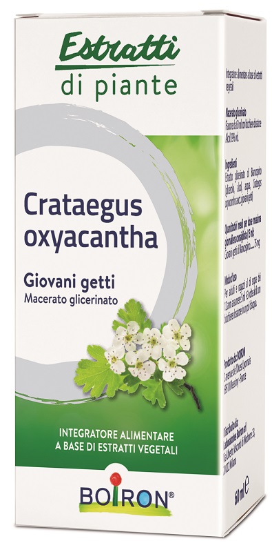 CRATAEGUS OXYACANTHA MACERATO GLICERICO 60 ML INT - FARMACIA33