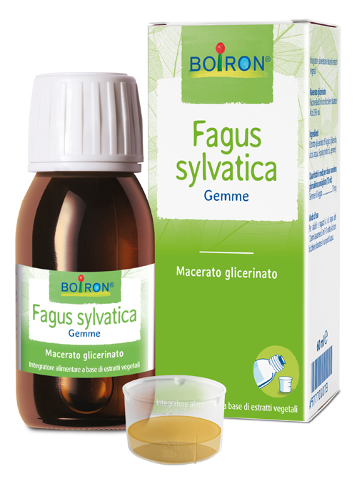 FAGUS SYLVATICA MACERATO GLICERICO 60 ML INT - FARMACIA33