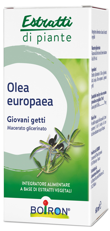 OLEA EUROPAEA MACERATO GLICERICO 60 ML INT - FARMACIA33