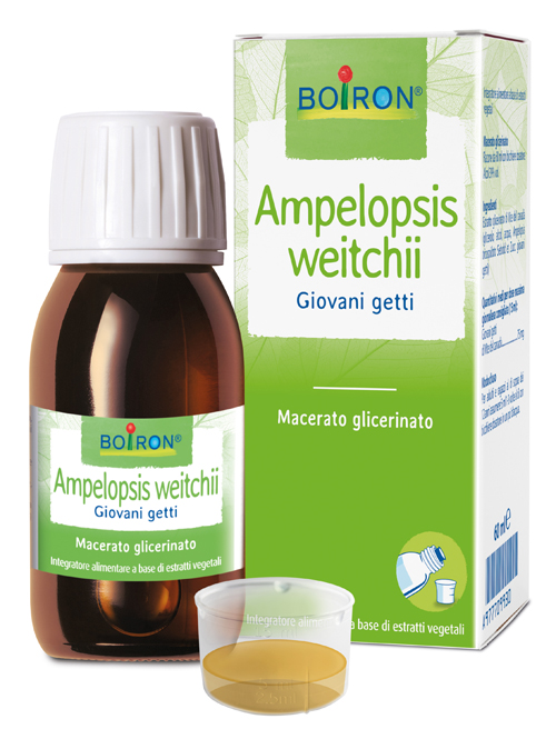 AMPELOPSIS WESTRATTO IDROALCOLICO BOIRON MACERATO GLICERICO 60 ML - FARMACIA33