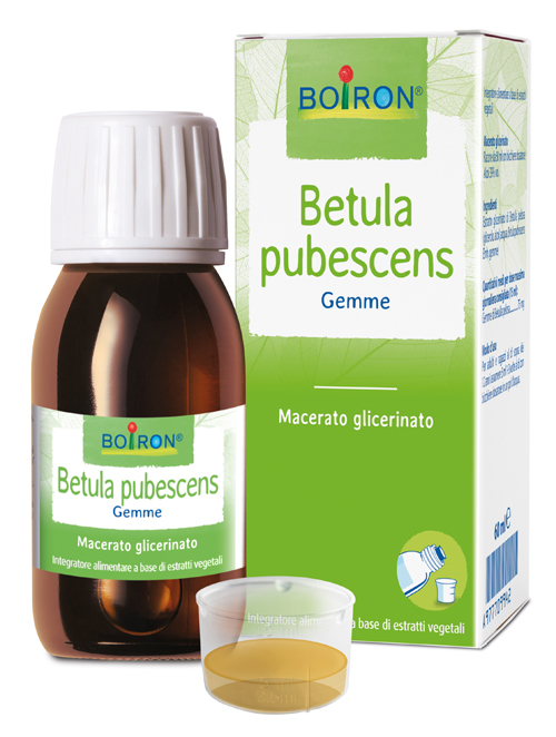 BETULA PUBESCENS MACERATO GLICERICO 60 ML INT - FARMACIA33
