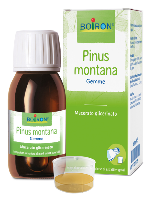 PINUS MONTANA MACERATO GLICERICO 60 ML INT - FARMACIA33