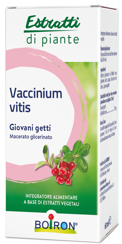 VACCINIUM VITIS MACERATO GLICERICO 60 ML - FARMACIA33