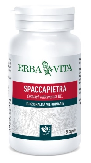 SPACCAPIETRA 60 CAPSULE - FARMACIA33