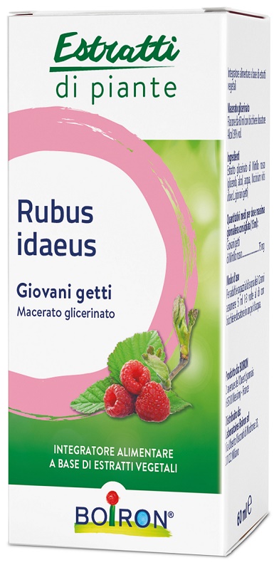 RUBUS IDAEUS GIOVANI GETTI ESTRATTO IDROALCOLICO 60 ML - FARMACIA33