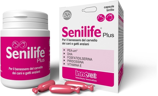 SENILIFE PLUS 30 CAPSULE - FARMACIA33