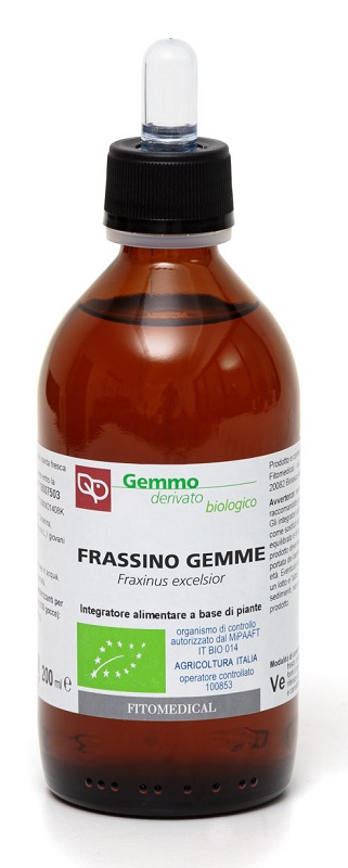 FRASSINO MACERATO GLICERICO 200 ML BIO - FARMACIA33