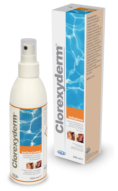 CLOREXYDERM SOLUZIONE 200 ML - FARMACIA33