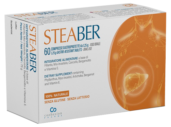 STEABER 60 COMPRESSE GASTROPROTETTE - FARMACIA33
