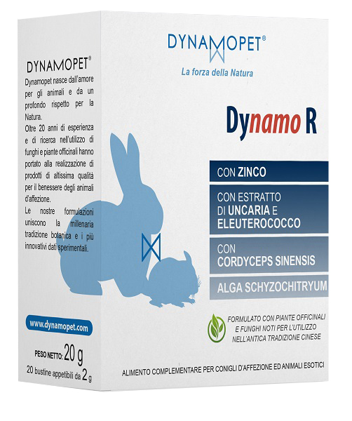 DYNAMO R 20 BUSTINE DA 2 G - FARMACIA33