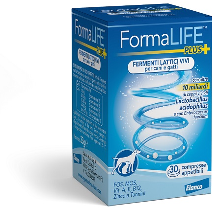 FORMALIFE PLUS FERMENTI LATTICI VIVI 30 COMPRESSE APPETIBILI - FARMACIA33