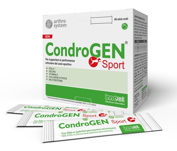 CONDROGEN SPORT 60 STICK - FARMACIA33