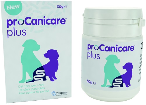 PROCANICARE PLUS 30 G - FARMACIA33