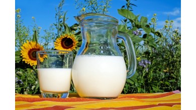 Latte, latticini ed eccesso di catarro: correlazioni