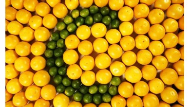 Integratori di Vitamina C: migliori prodotti e benefici