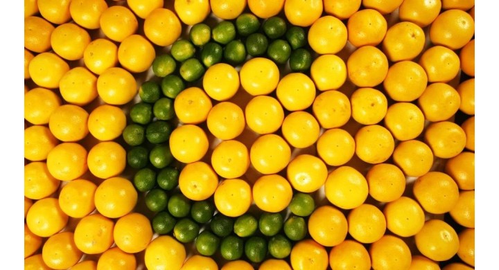 Integratori di Vitamina C: migliori prodotti e benefici