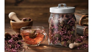 Miglior integratore di Echinacea: benefici difese immunitarie