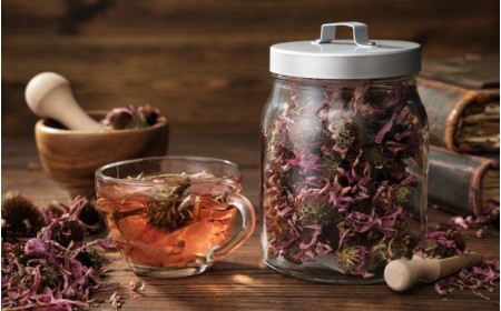 Miglior integratore di Echinacea: benefici difese immunitarie