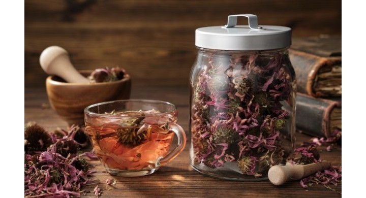 Miglior integratore di Echinacea: benefici difese immunitarie